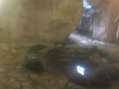 -咸宁万豪温泉谷度假区