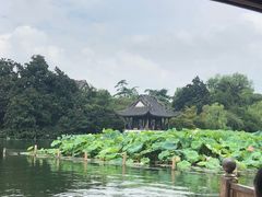 -西湖外事游船(花港观鱼码头)