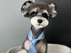 -翊宠yipet猫狗购宠庄园犬舍•猫舍