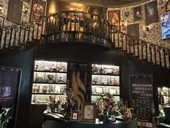 -雪灵魔法世界SHELLY’S TAROT(大良桂畔里店)