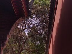 -西安市广仁寺