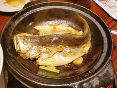 大黄鱼-陈鹏鹏潮汕菜(欢乐海岸 海边景观店)