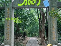 -上海佘山国家森林公园天马山园