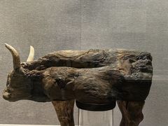 -仪征博物馆