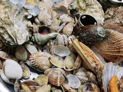 -永红源啤酒·烧烤·海鲜·大排档(青特城店)