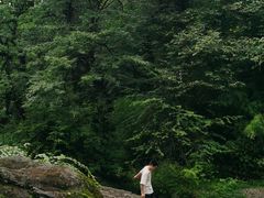 -龙苍沟森林公园