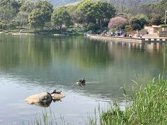 -灵山胜境