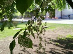 android_upload_pic-辽宁大学(崇山校区)