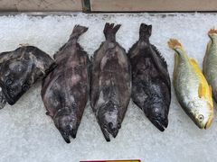 -双井轩(双井店)