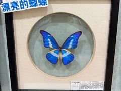 -深圳龙华星河COCO City(民治店)