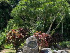 -中国科学院西双版纳热带植物园