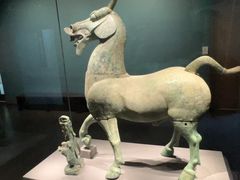 -广西壮族自治区博物馆