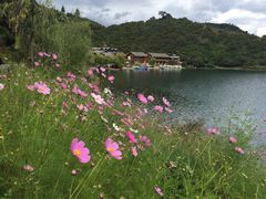 -丽江泸沽湖景区-里格半岛