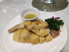 -大东海海鲜酒楼(渔人码头总店)