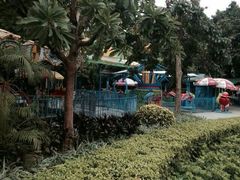-晓港公园