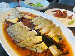 -甄御•海鲜新青岛菜(麦岛店)