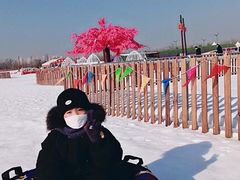 -绿野森林乐园冰雪季