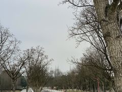 -眉山湿地公园(东坡区)