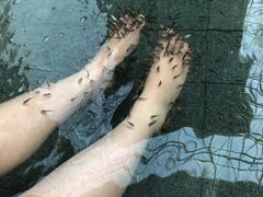 -青岛海泉湾度假区温泉
