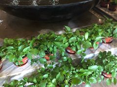 -清水湾温泉生活馆(南直路店)