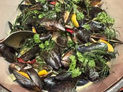 -TOMATITO(无限极荟店)