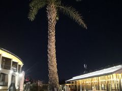 -北京云瑧金陵莲花酒店·莲·川小馆