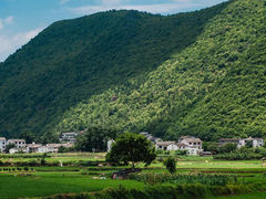 -万峰林风景区
