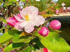 -元大都城垣遗址公园