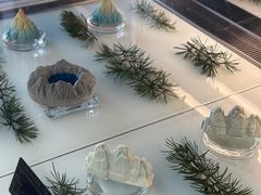 -时光吧·大堂吧·丽江和府洲际度假酒店