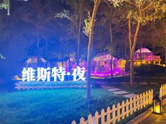 -维斯特·夜烤牛肋条任吃