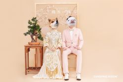 -日光视觉婚纱摄影(旗舰店)