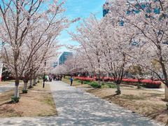 -新天地活力PARK