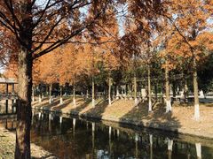 -峙山公园