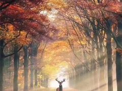 -汉中石门栈道景区