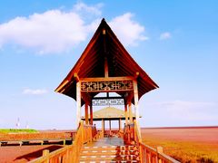 景点-红海滩国家风景廊道