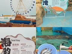 -秦皇岛乐岛海洋王国