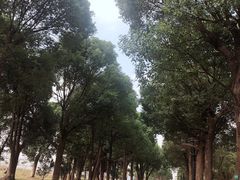 -上海多利农业发展有限公司