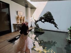-觀芷隐轩
