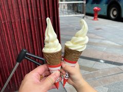 -富豪雪糕车流动点(尖沙咀店)