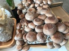 -东门口涮肉·砂锅·烤串(老门东店)