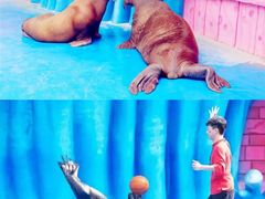 -华夏文旅海洋公园