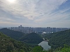 -桃花岭景区