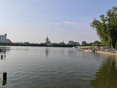 -莲花池公园