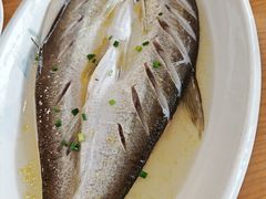 -品鲜村农家菜·阳澄湖大闸蟹(总店)