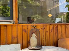 大堂-肥朵食堂(带梦胡同店)