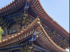 -中原大佛景区
