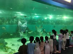 -苏州海洋馆