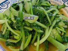 清炒菜秧-南京点赞小馆