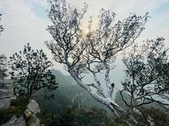 -神农山景区