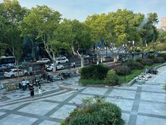 -青藤茶馆(南山路店)